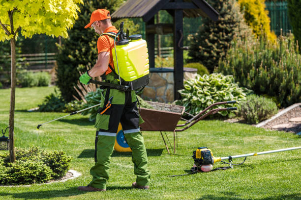 Best Fumigation Services  in Wingdale, NY